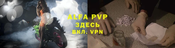 apvp Белокуриха