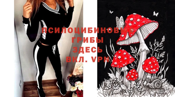 apvp Белокуриха