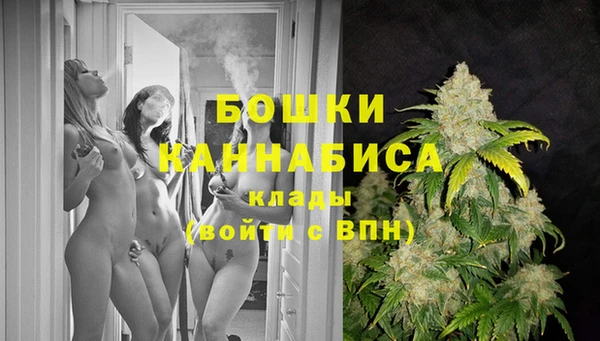 apvp Белокуриха